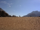  DÉSERT DU WADI RUM 