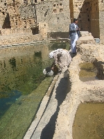 Les citernes d'eau potable : un bien précieux